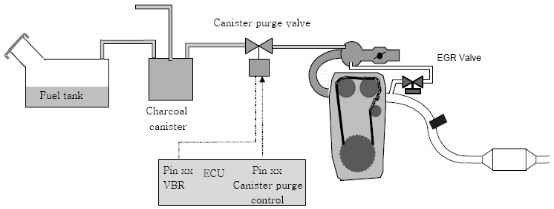 SFI-7.jpg